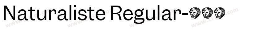 Naturaliste Regular字体转换